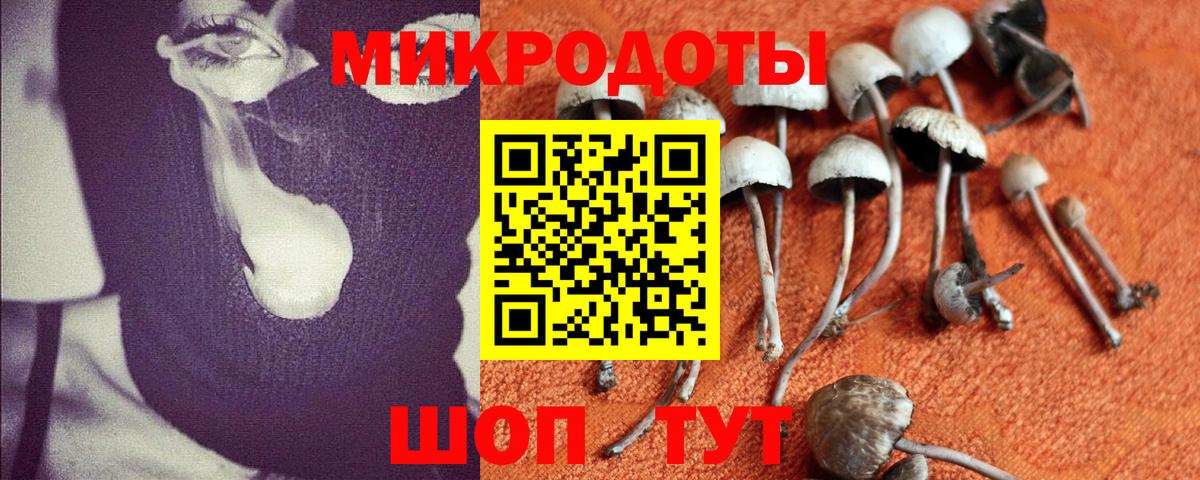 Галлюциногенные грибы MAGIC MUSHROOMS  продажа наркотиков  Вход с VPN  Норильск  Галлюциногенные грибы MAGIC MUSHROOMS 