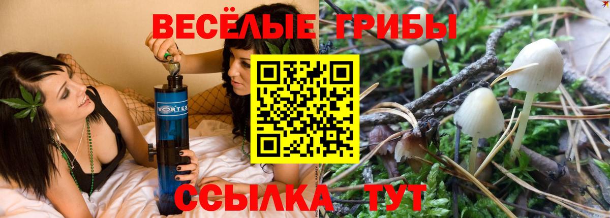 Псилоцибиновые грибы мухоморы Норильск